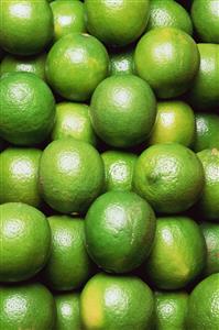 Limes