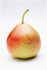 Corella pear