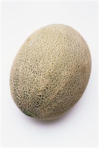 Rockmelon