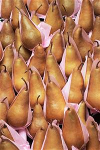 Pears in tissue paper