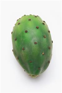 Prickly pear